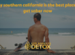 man realizing why southern California is the best place to get sober now