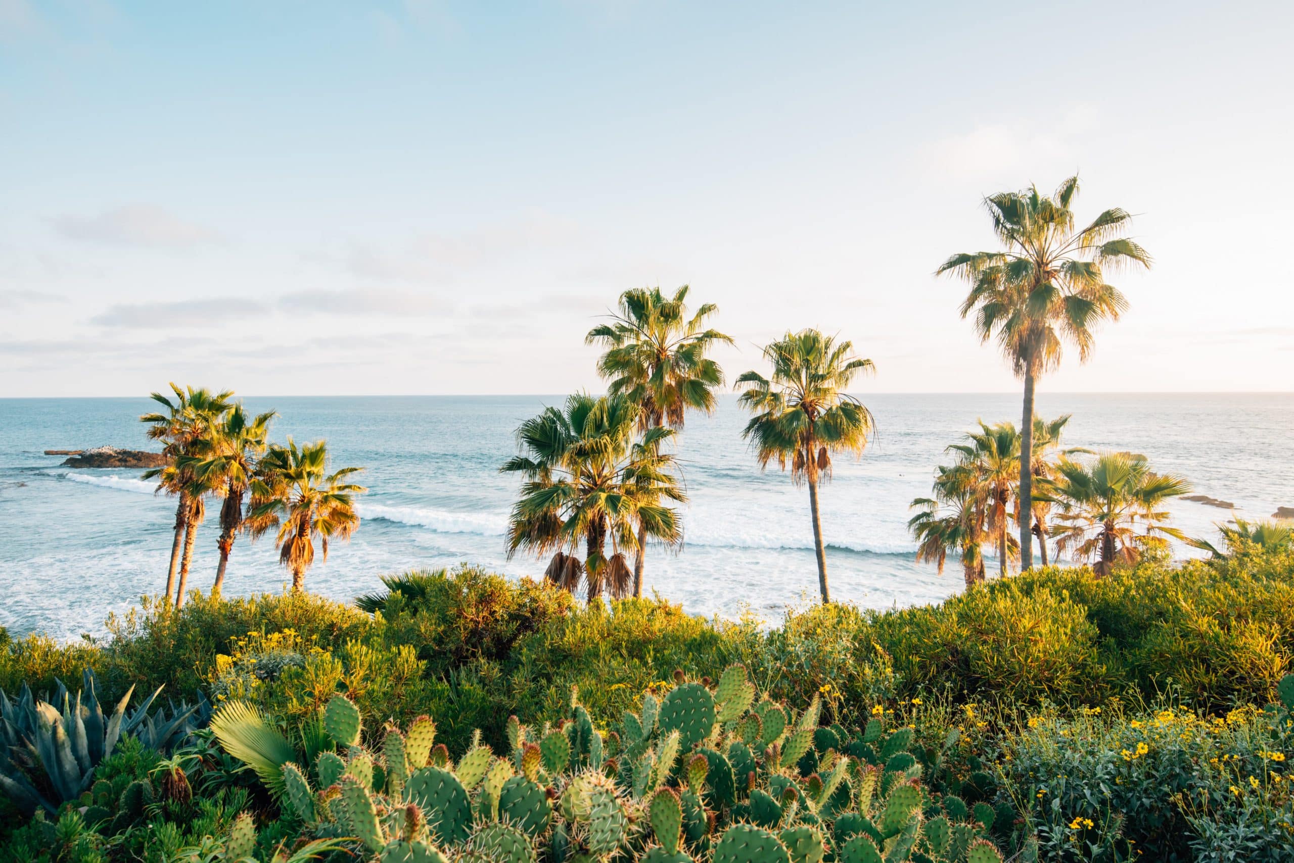 West coast rehab